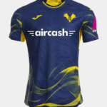 Camiseta Hellas Verona