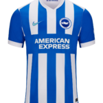Camiseta Brighton & Hove Albion