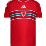 Camiseta Gales